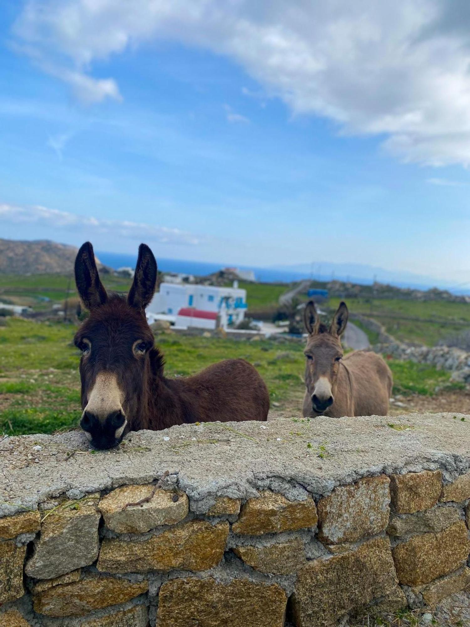 Naira Family Suites Mykonos Mykonos Town Buitenkant foto